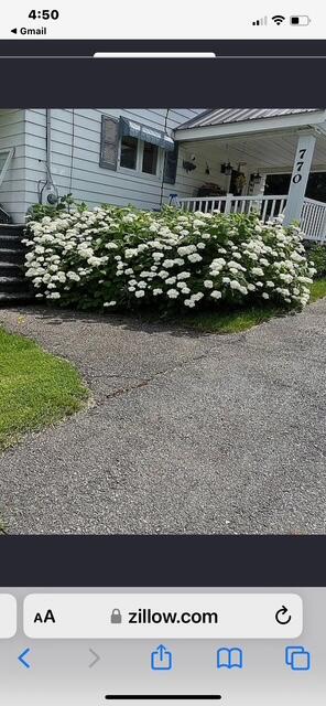 770 Main Street St. Francis, ME 04774 - Photo 5 of 43 IMG_2564