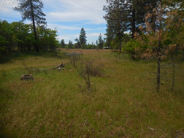289 Chisholm Road Goldendale, WA 98620 - Photo 11 of 23 Gallery Image 11