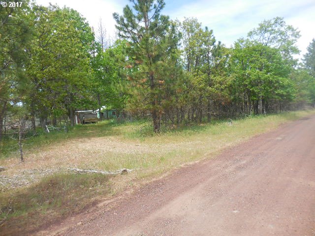 289 Chisholm Road Goldendale, WA 98620 - Photo 12 of 23 Gallery Image 12