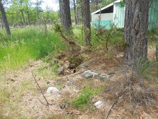 289 Chisholm Road Goldendale, WA 98620 - Photo 13 of 23 Gallery Image 13