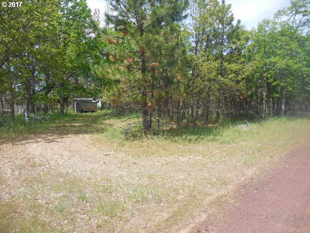 289 Chisholm Road Goldendale, WA 98620 - Photo 20 of 23 Gallery Image 20