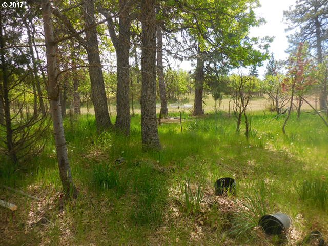 289 Chisholm Road Goldendale, WA 98620 - Photo 10 of 23 Gallery Image 10