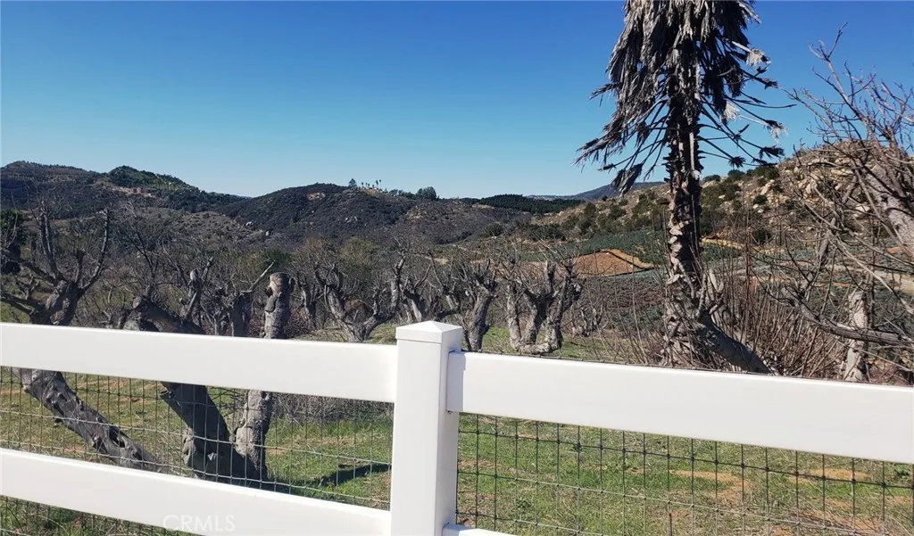 44 El Calamar Road Temecula, CA 92590 - Photo 11 of 15 a view of a back yard