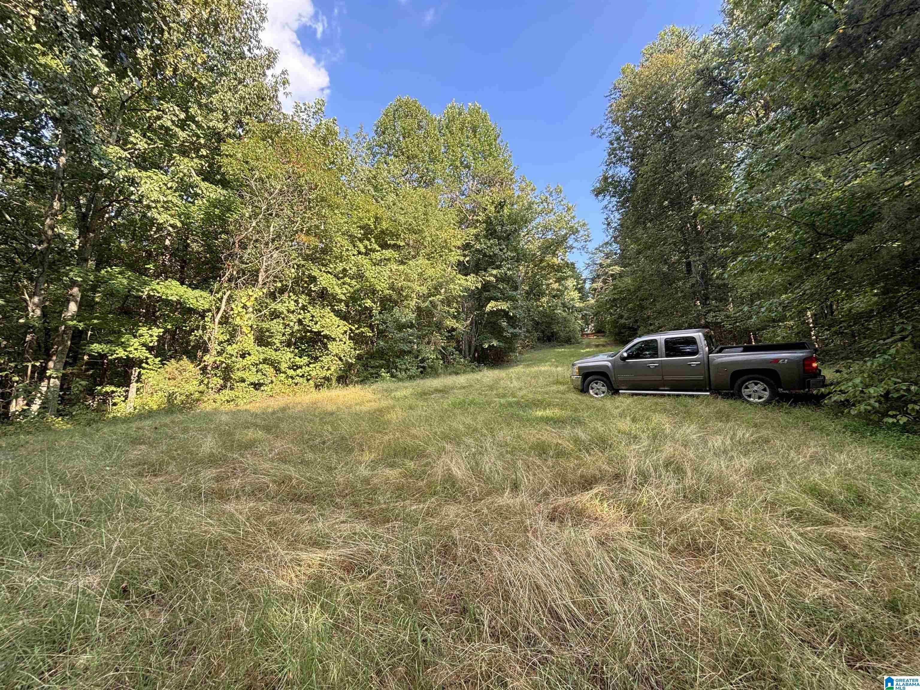 1849 Baker Road Ashville, AL 35953 - Photo 55 of 72 Gallery Image 55