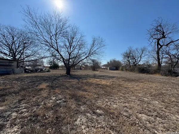 a view of dirt yard with a large tree