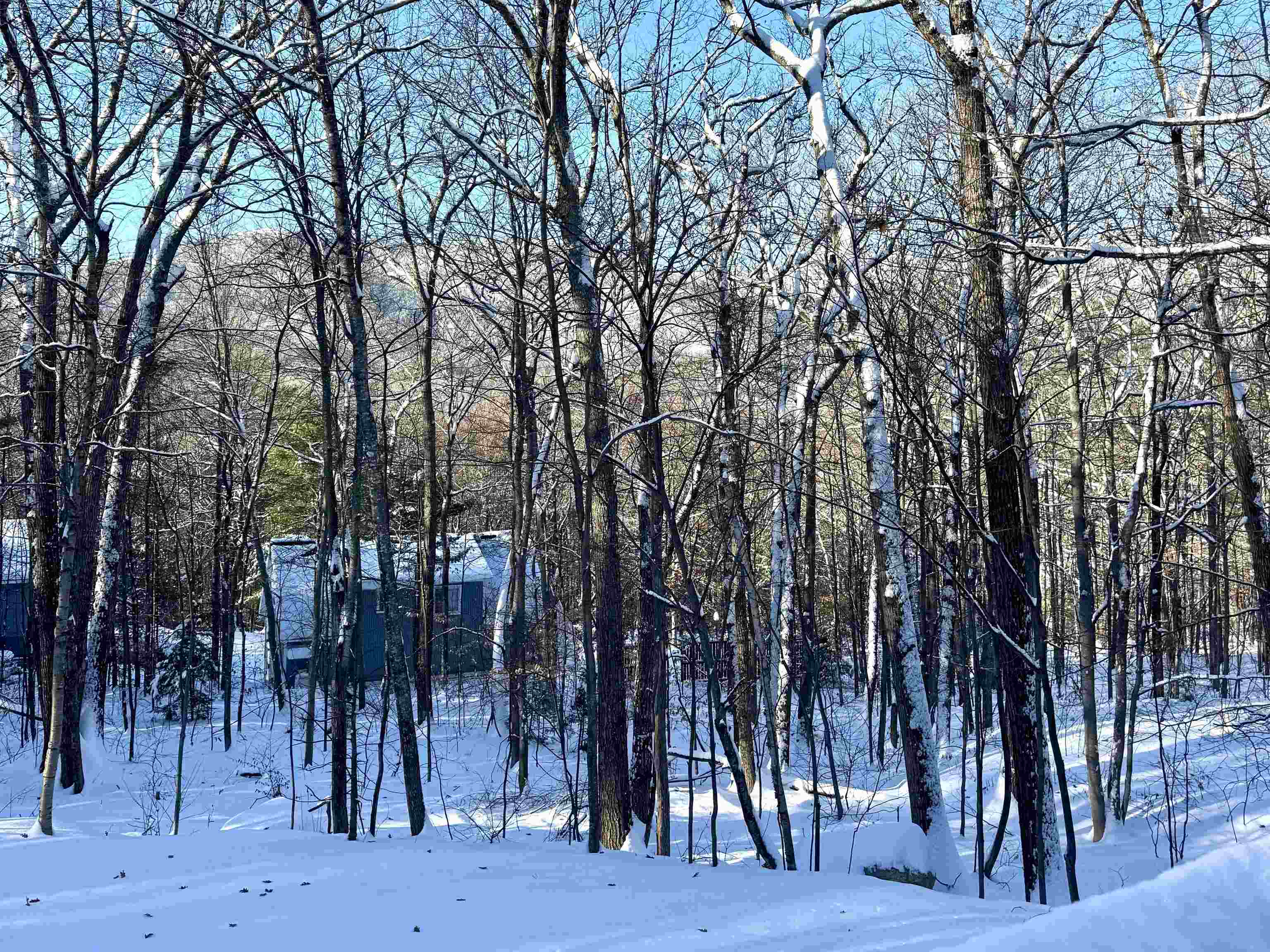 262 Beechnut Drive Conway, NH 03860 - Photo 3 of 54