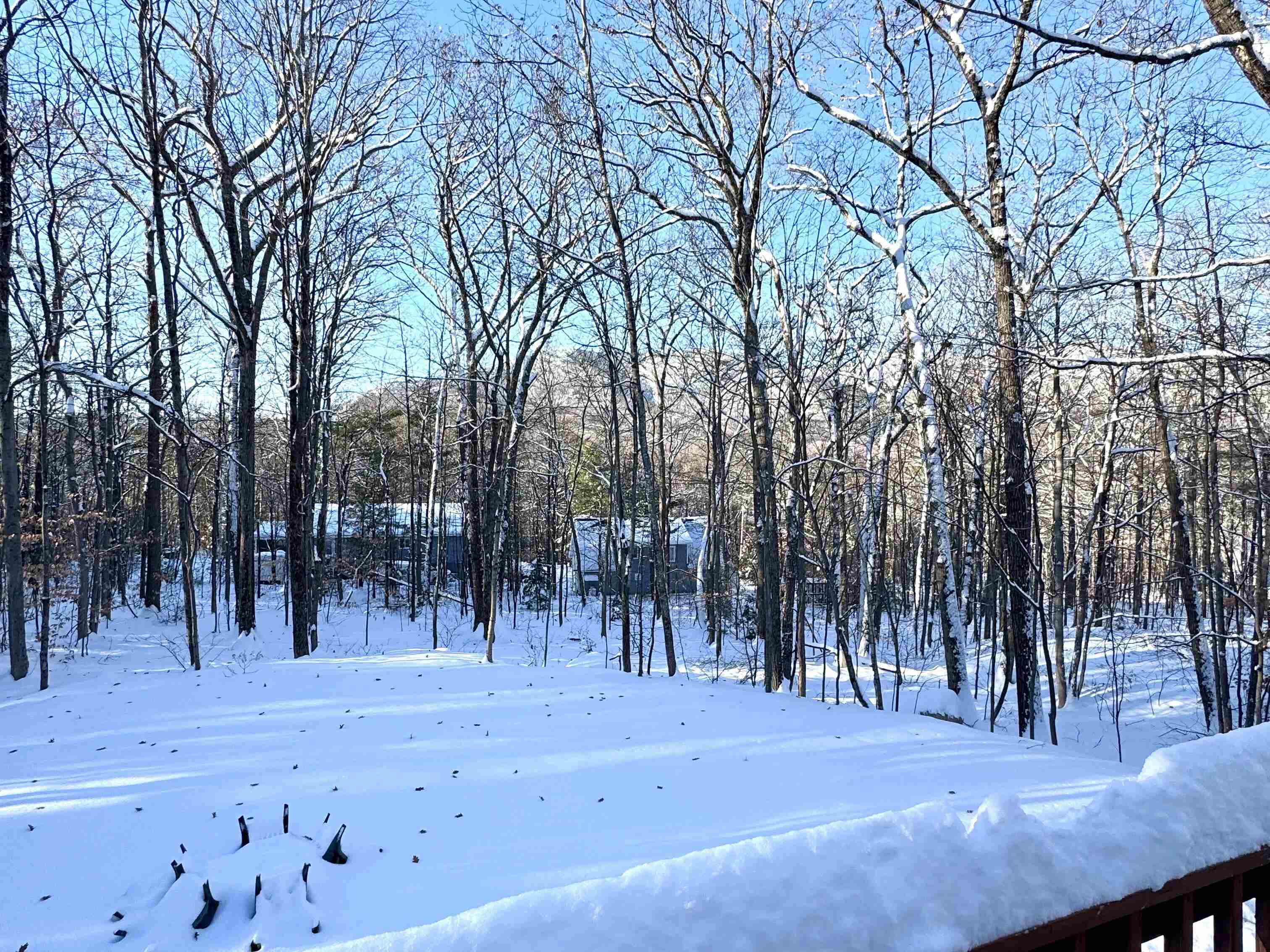 262 Beechnut Drive Conway, NH 03860 - Photo 4 of 54