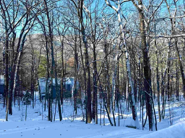 $605,000 | 262 Beechnut Drive, Conway, NH 03860