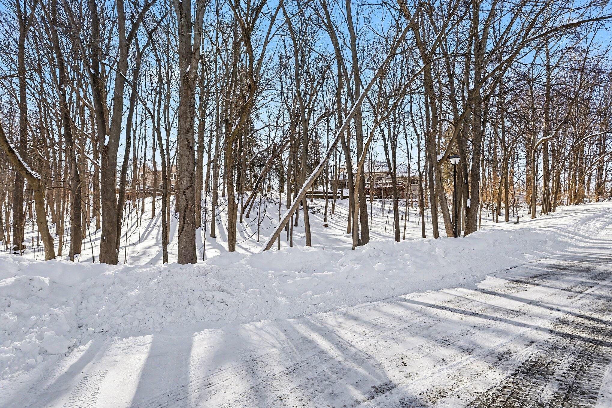 2348 Spring Arbor St. Joseph, MI 49085 - Photo 10 of 27 002_file_2892