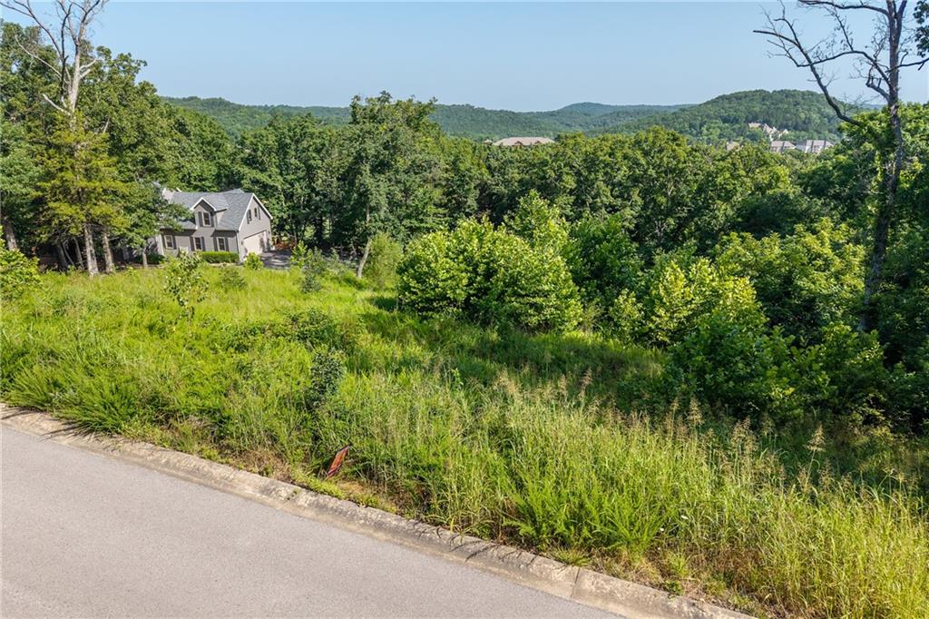 Lot 9 Country Ridge Drive Camdenton, MO 65020 - Photo 3 of 41