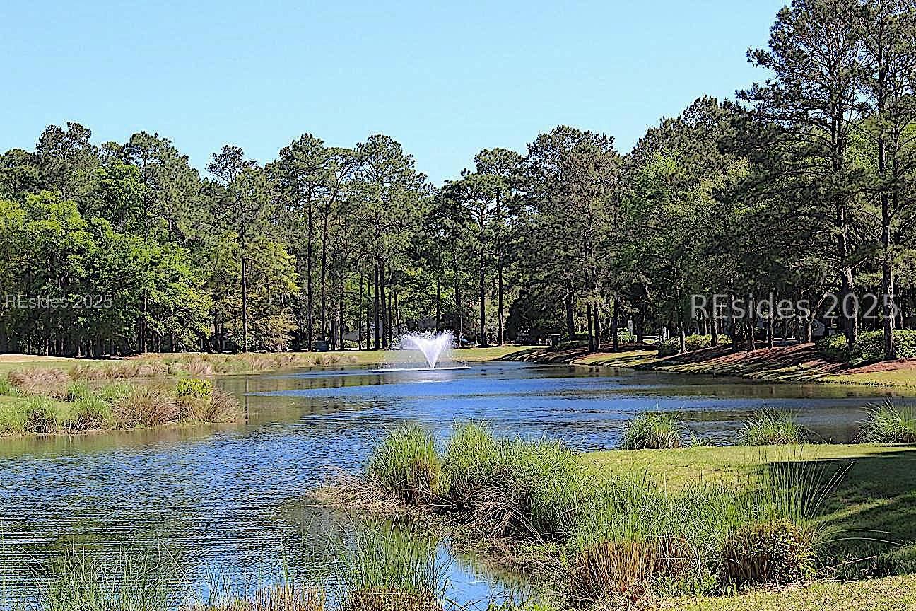 234 Club Gate Bluffton, SC 29910 - Photo 56 of 56