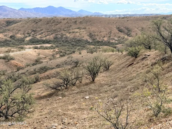 a view of a mountain in the distance in a field