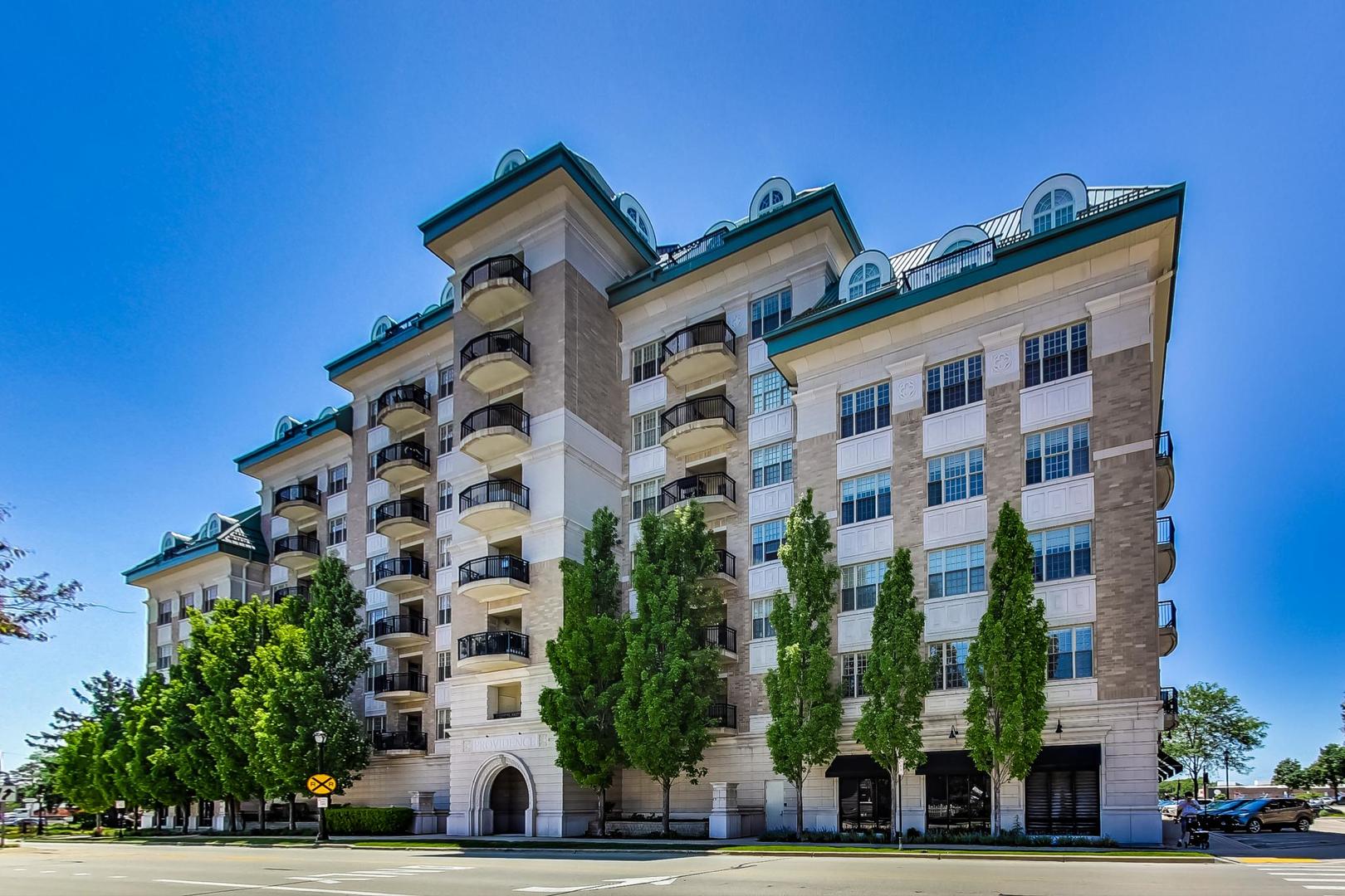 50 North Plum Grove Road, Unit 210E Palatine, IL 60067 - Photo 5 of 47 front view of a building with a street