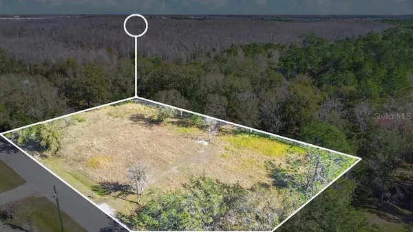 a view of a pool and a yard in the back
