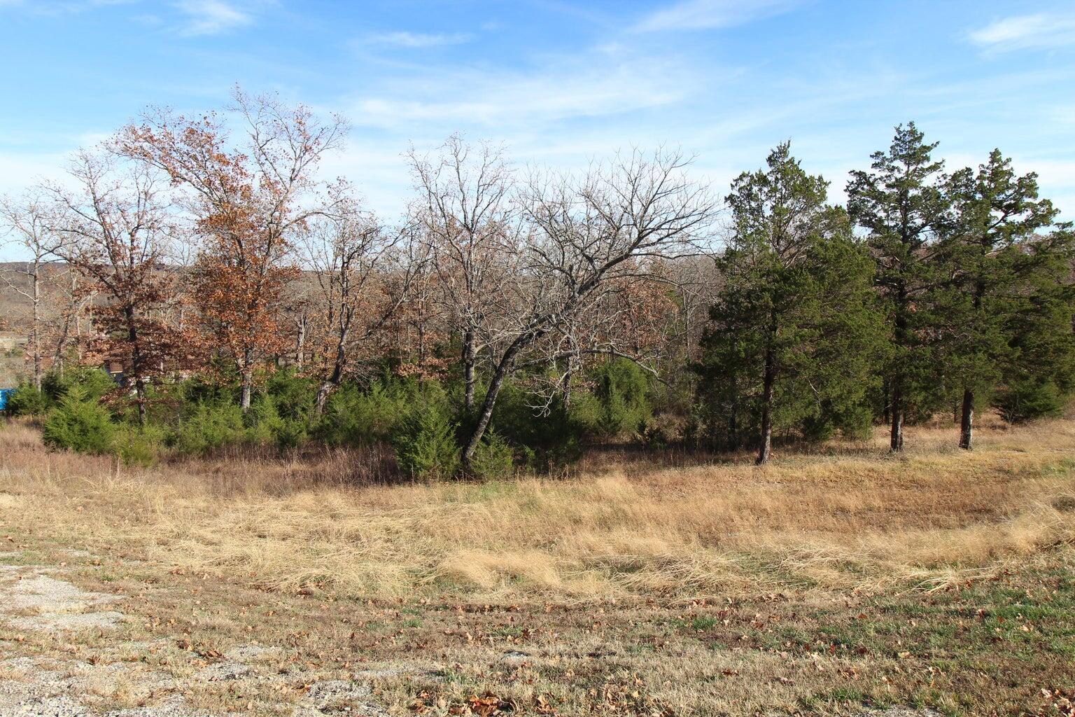199 Forest Lake Drive Reeds Spring, MO 65737 - Photo 1 of 11 20221110002759632694000000-o (1)