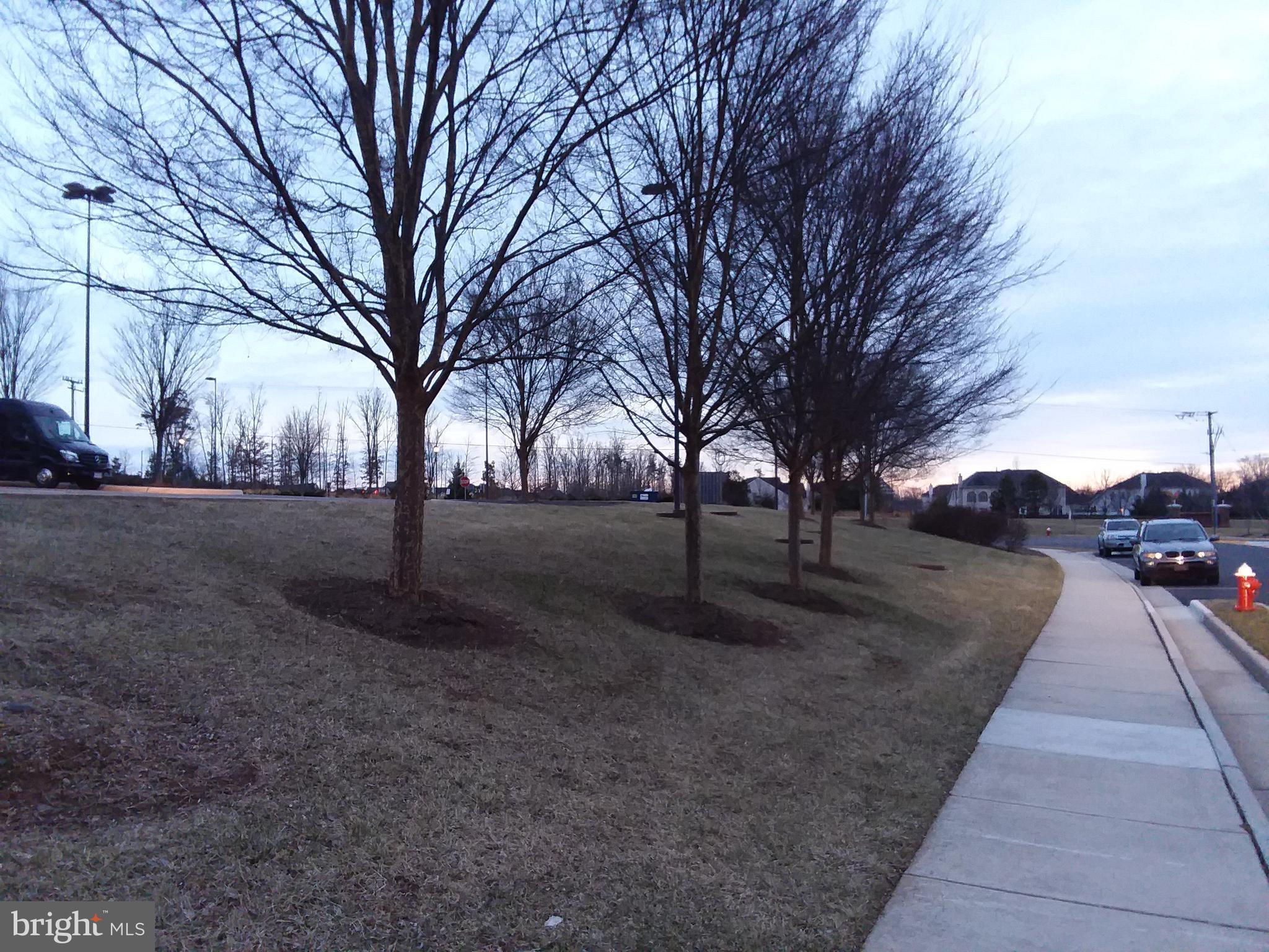 22595 Windsor Locks Square Ashburn, VA 20148 - Photo 23 of 56 a view of outdoor space with lots of trees