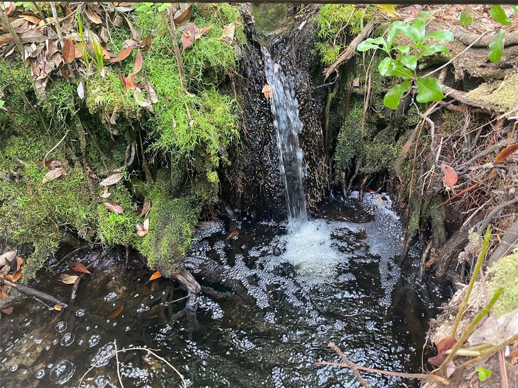 2640 South Bear Run Road Frostproof, FL 33843 - Photo 1 of 1 Spring Fed Waterfall