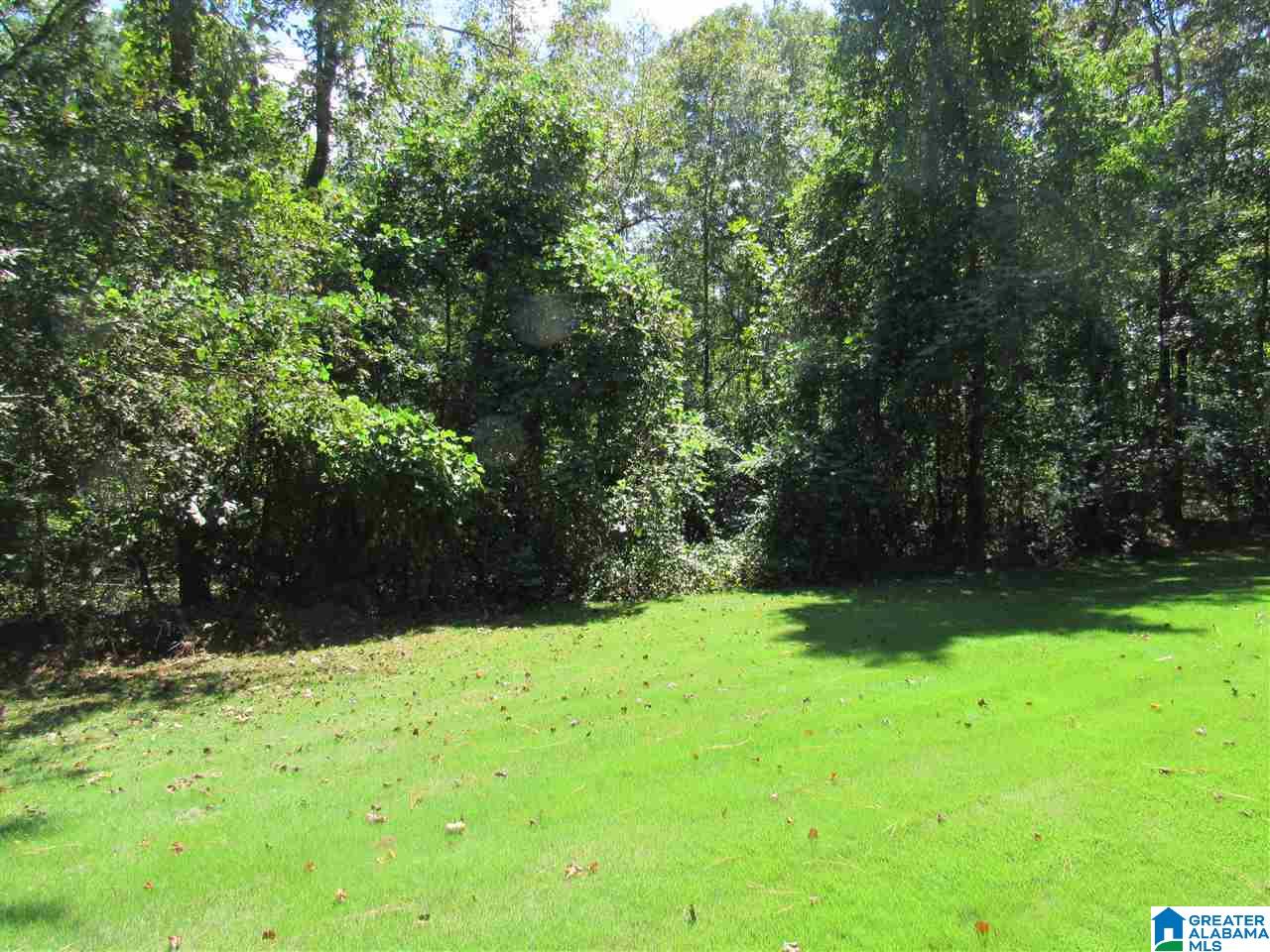 198 Ash Road Brierfield, AL 35035 - Photo 29 of 40