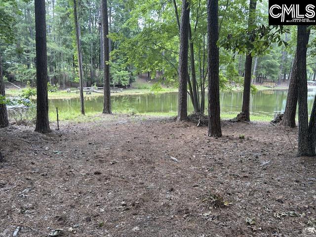 110 John Long Road Gilbert, SC 29054 - Photo 3 of 4