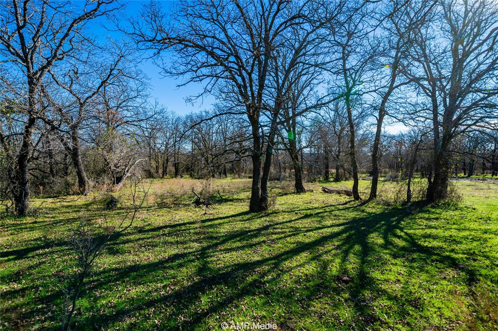 1992 Sand Flat Road Jacksboro, TX 76458 - Photo 8 of 36 View of yard