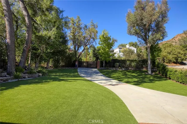 a view of a park with large trees