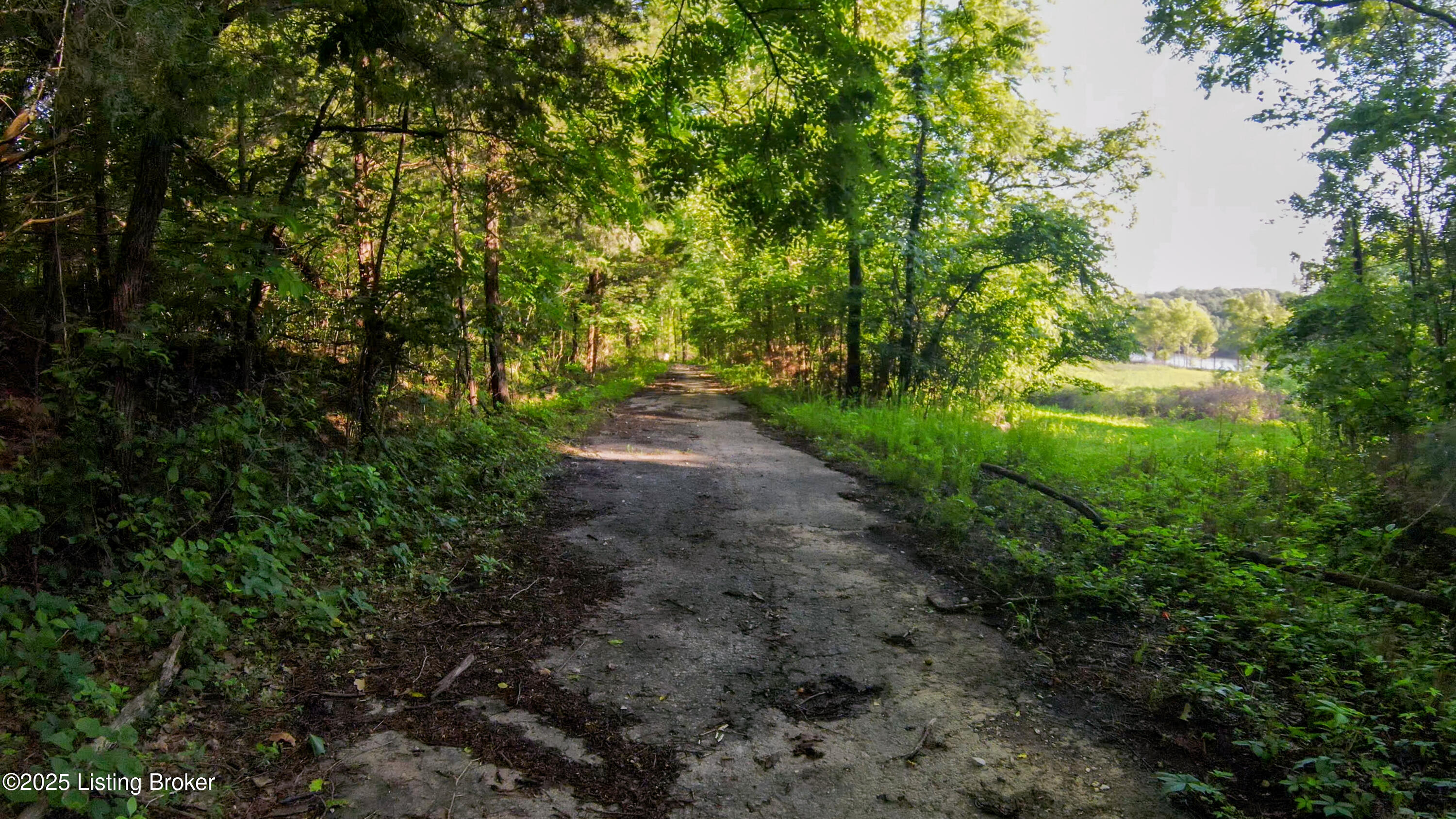 0 Grayson Springs Road Leitchfield, KY 42754 - Photo 19 of 35 29