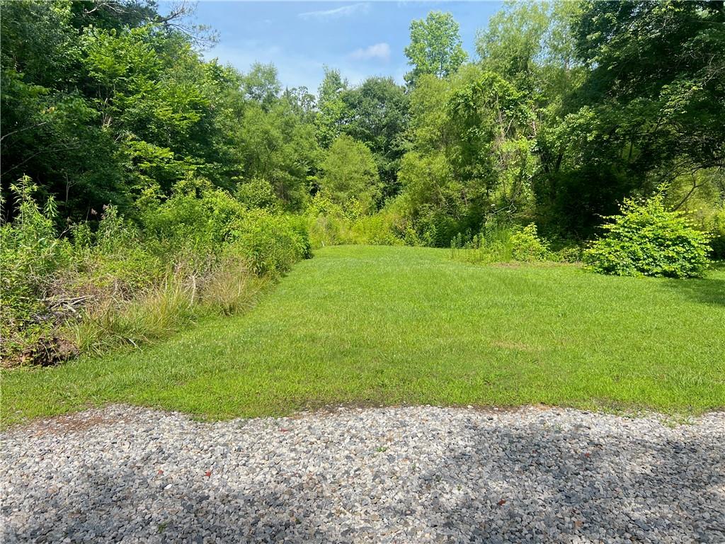 340 Womack Avenue Dallas, GA 30157 - Photo 9 of 29 a view of a garden with a pathway