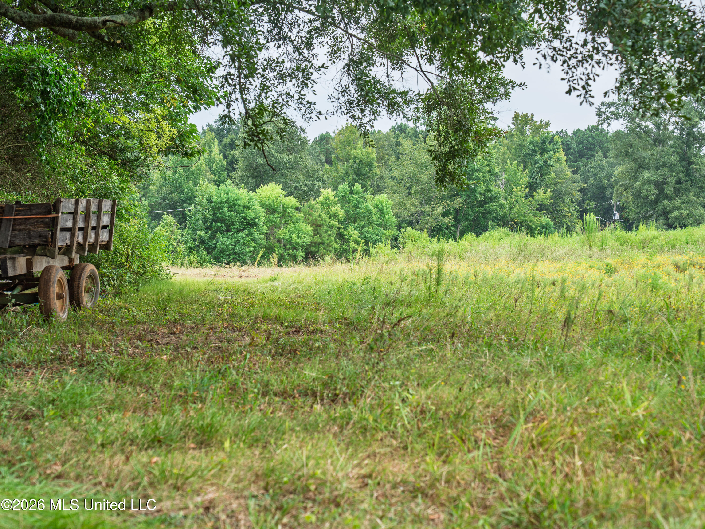 Spring Street Taylorsville, MS 39168 - Photo 6 of 57 A7404248