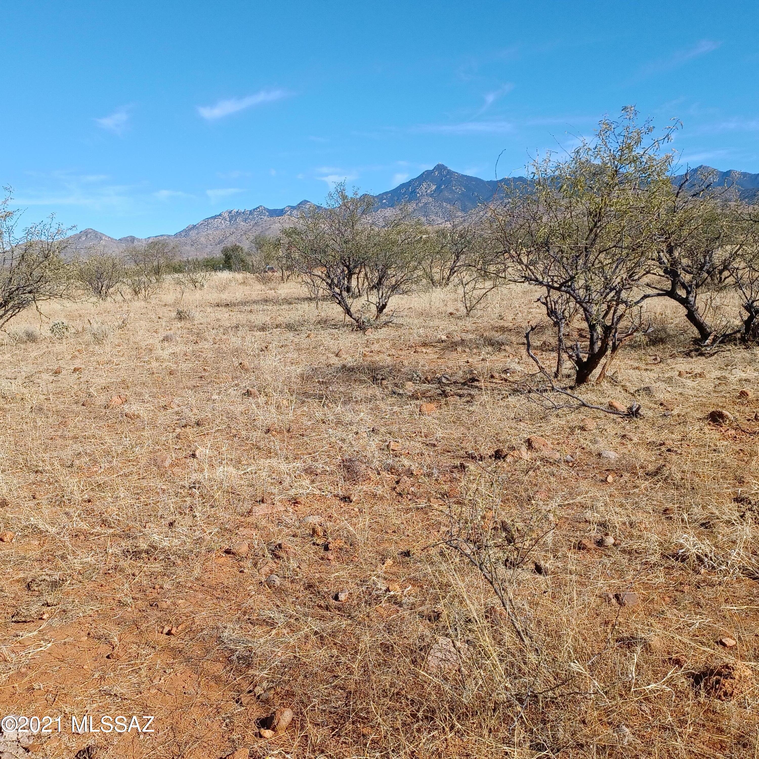 209 Camino Kennedy, Unit 55C Rio Rico, AZ 85648 - Photo 5 of 10