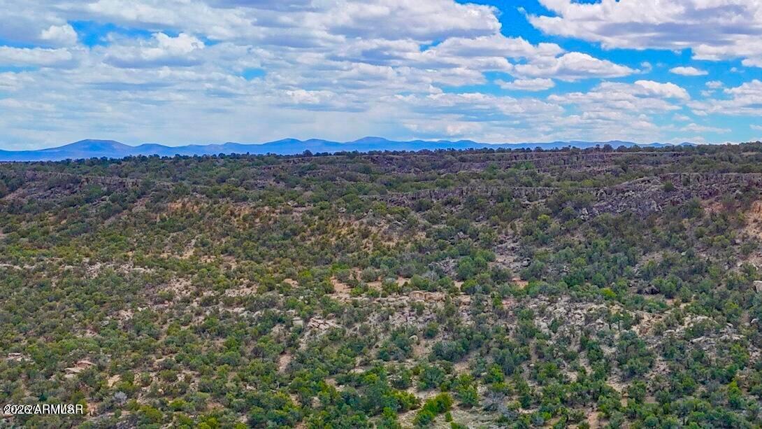 85 Co Road Concho, AZ 85924 - Photo 22 of 24 a view of a city with lush green forest