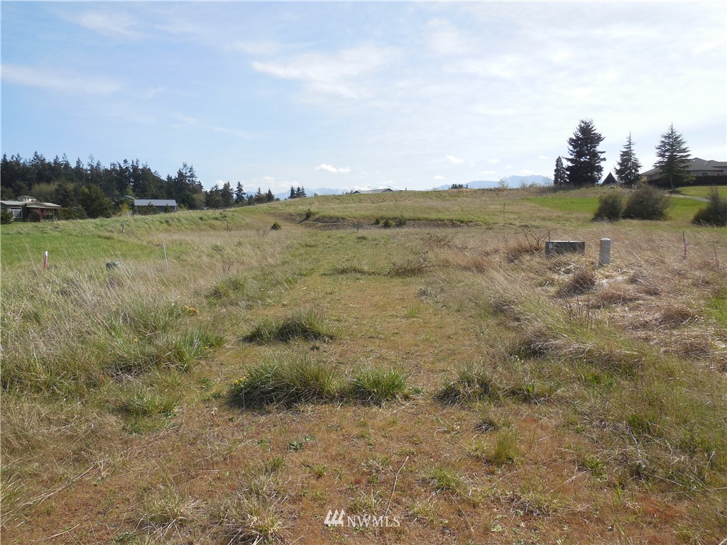 446 Buckhorn Road Sequim, WA 98382 - Photo 11 of 12