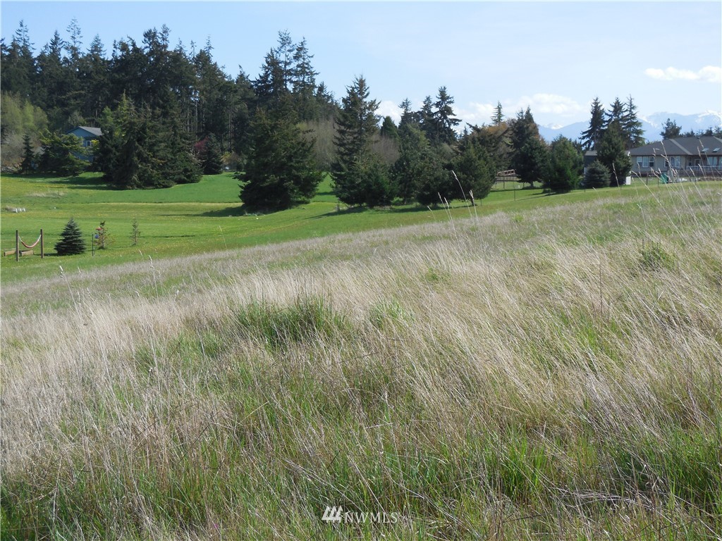 446 Buckhorn Road Sequim, WA 98382 - Photo 4 of 12