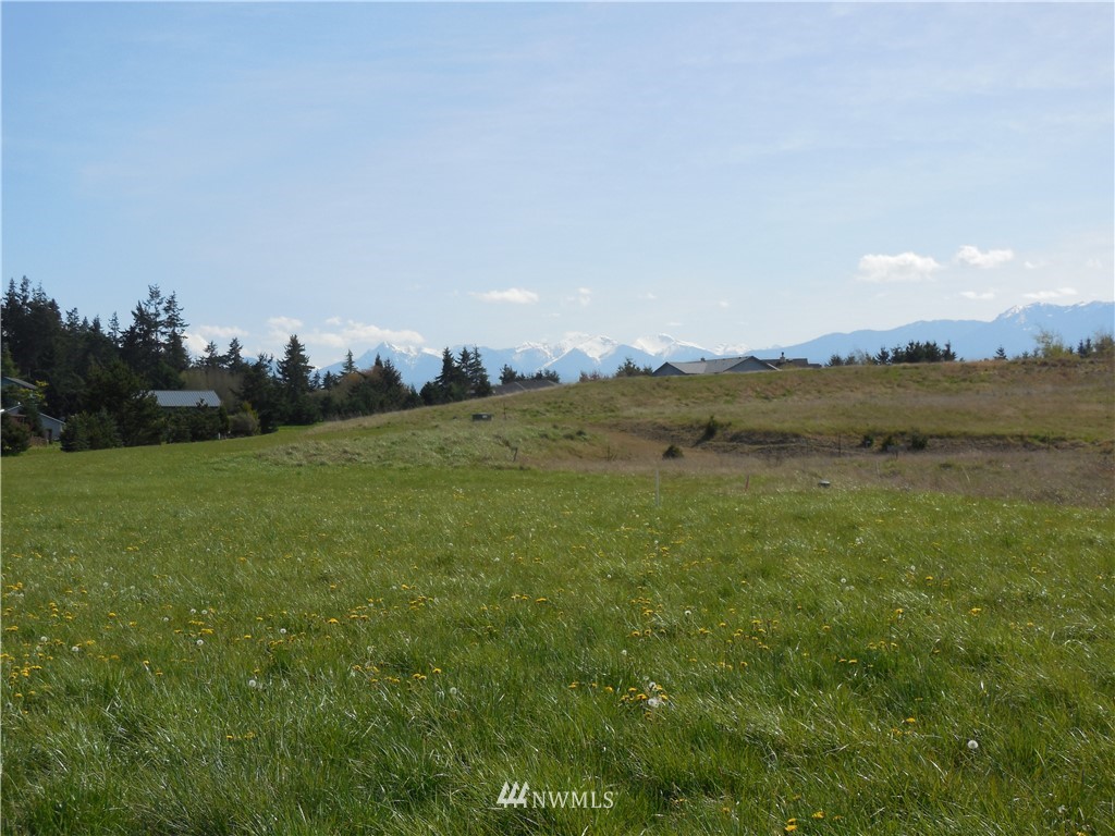 446 Buckhorn Road Sequim, WA 98382 - Photo 5 of 12