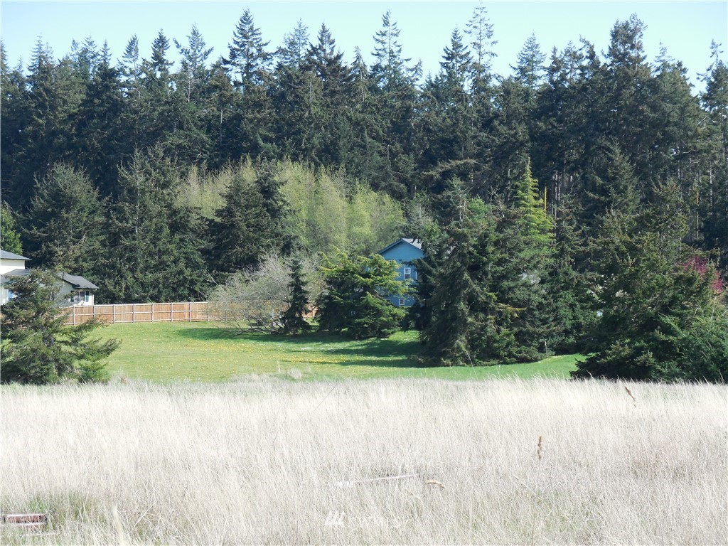 446 Buckhorn Road Sequim, WA 98382 - Photo 7 of 12