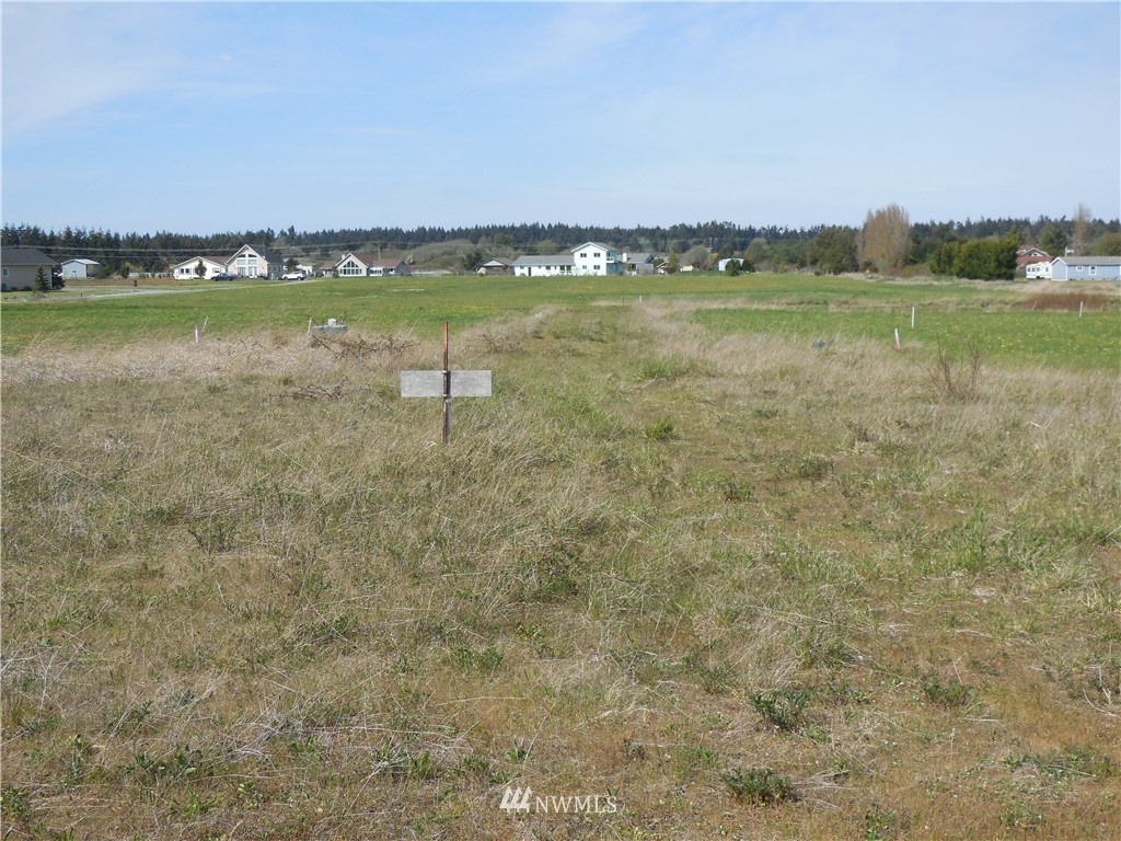 446 Buckhorn Road Sequim, WA 98382 - Photo 8 of 12