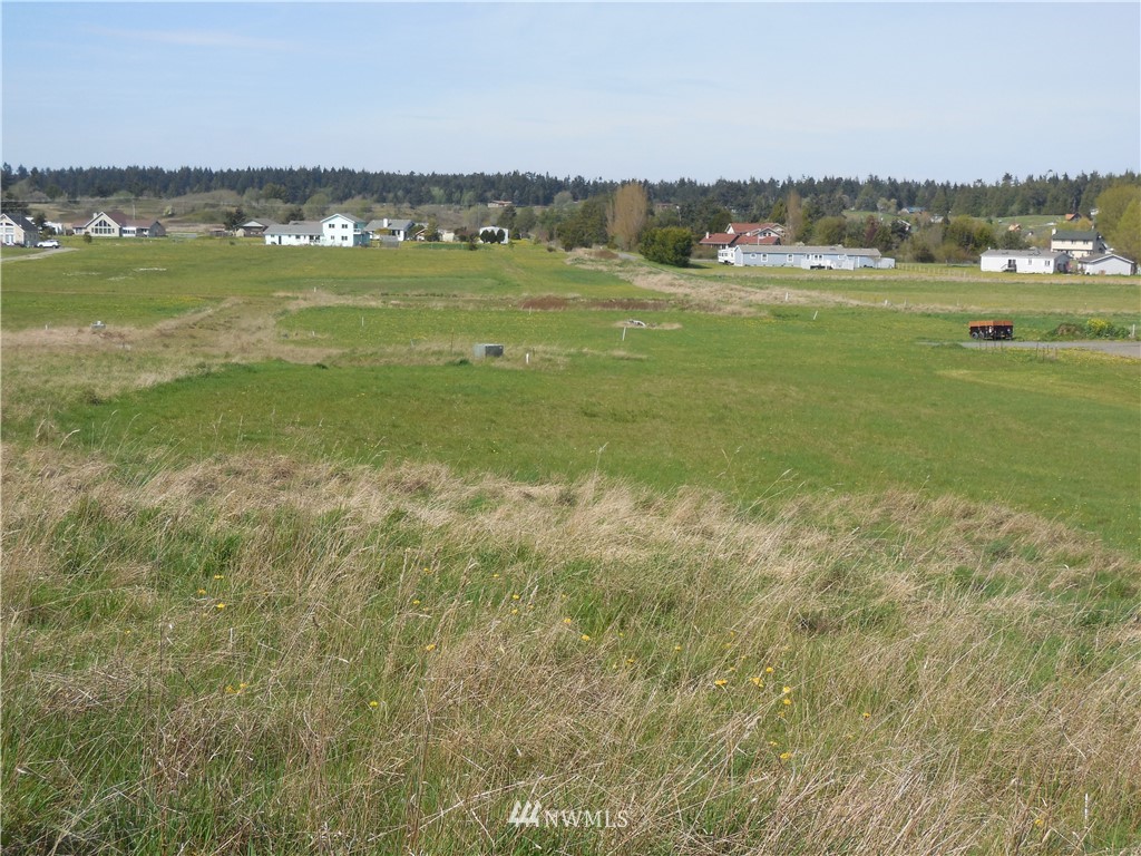 446 Buckhorn Road Sequim, WA 98382 - Photo 10 of 12