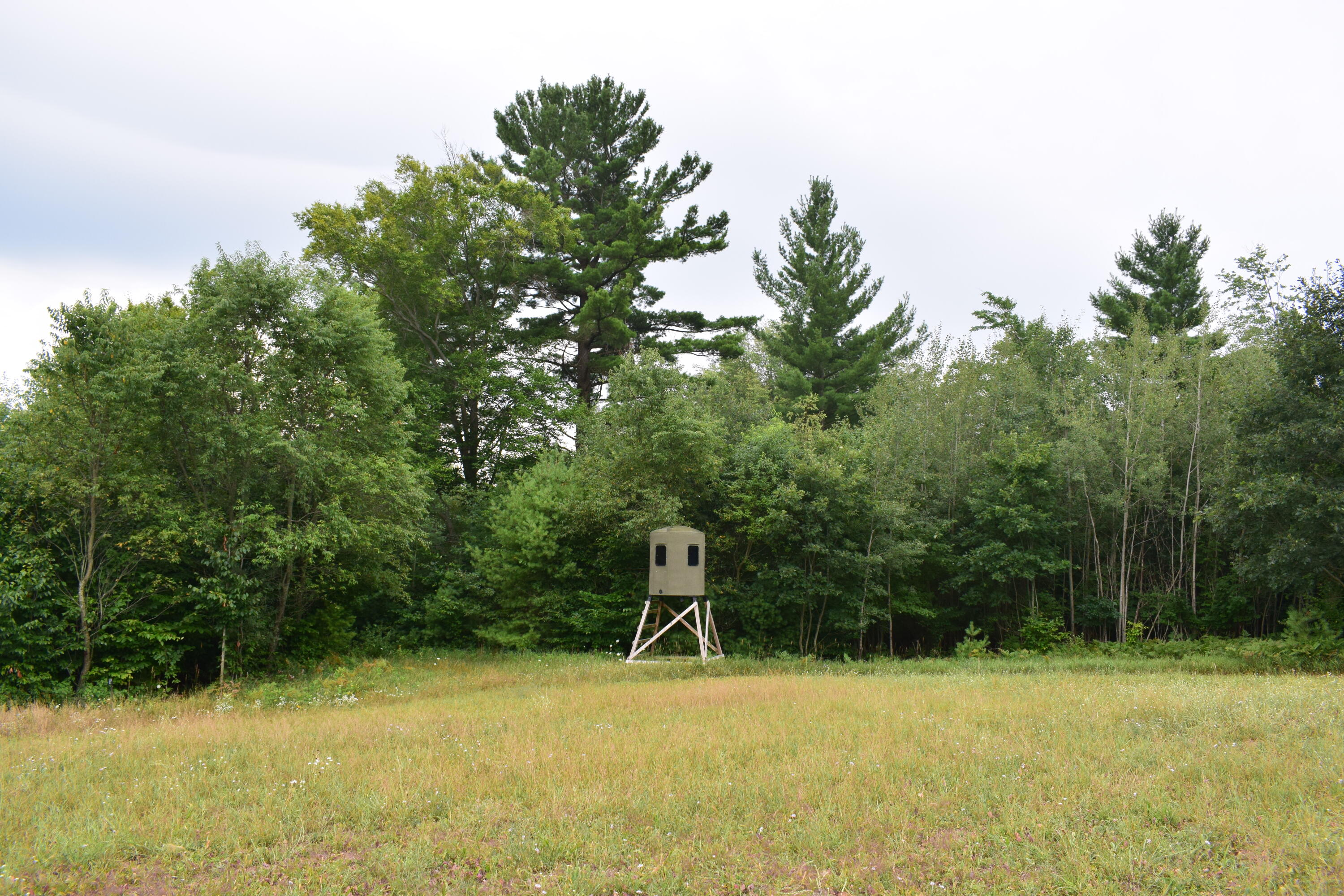 5190 Schoedel Road Manistee, MI 49660 - Photo 12 of 15 DSC_0009