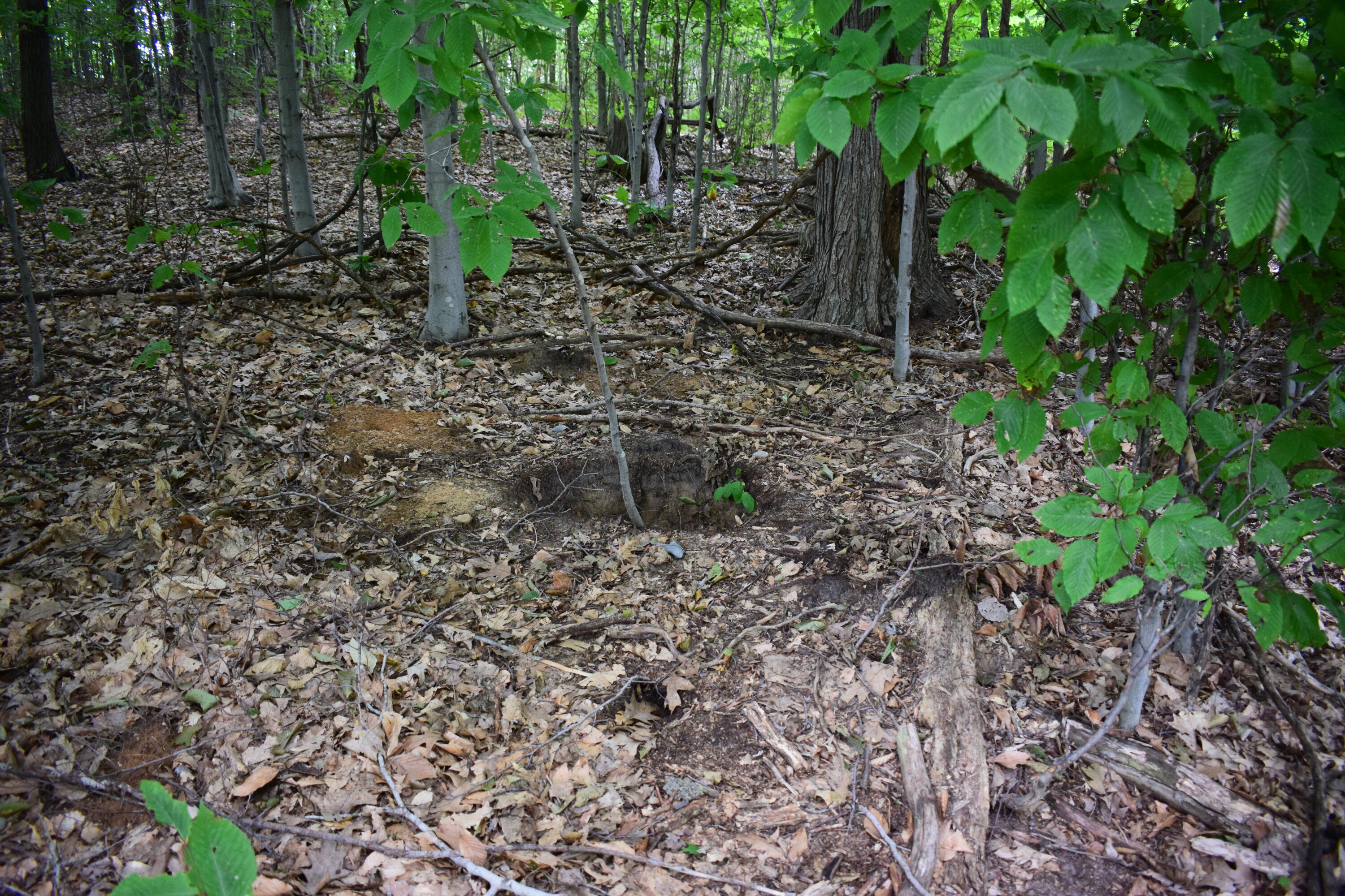 5190 Schoedel Road Manistee, MI 49660 - Photo 13 of 15 DSC_0010