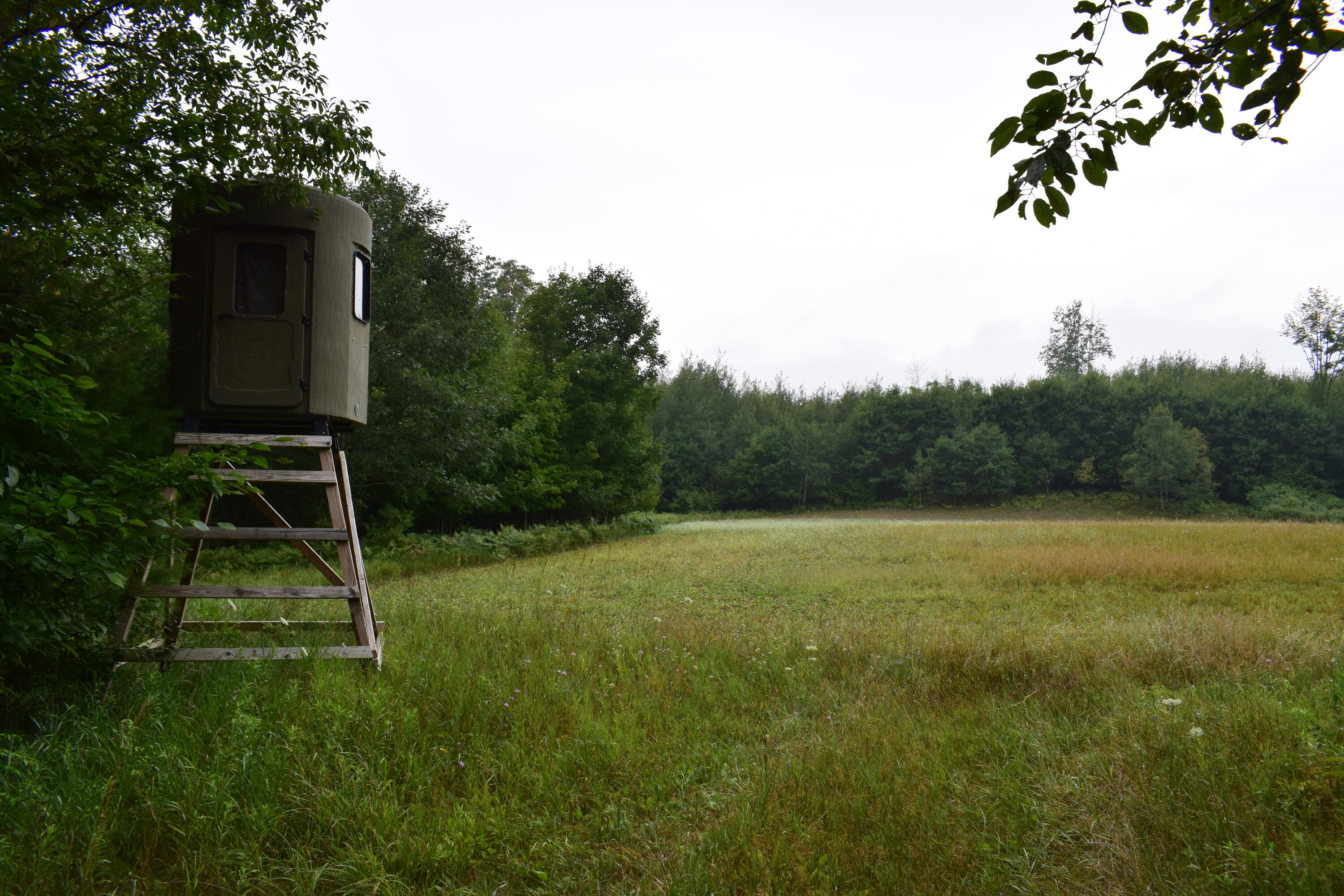 5190 Schoedel Road Manistee, MI 49660 - Photo 7 of 15 DSC_0004