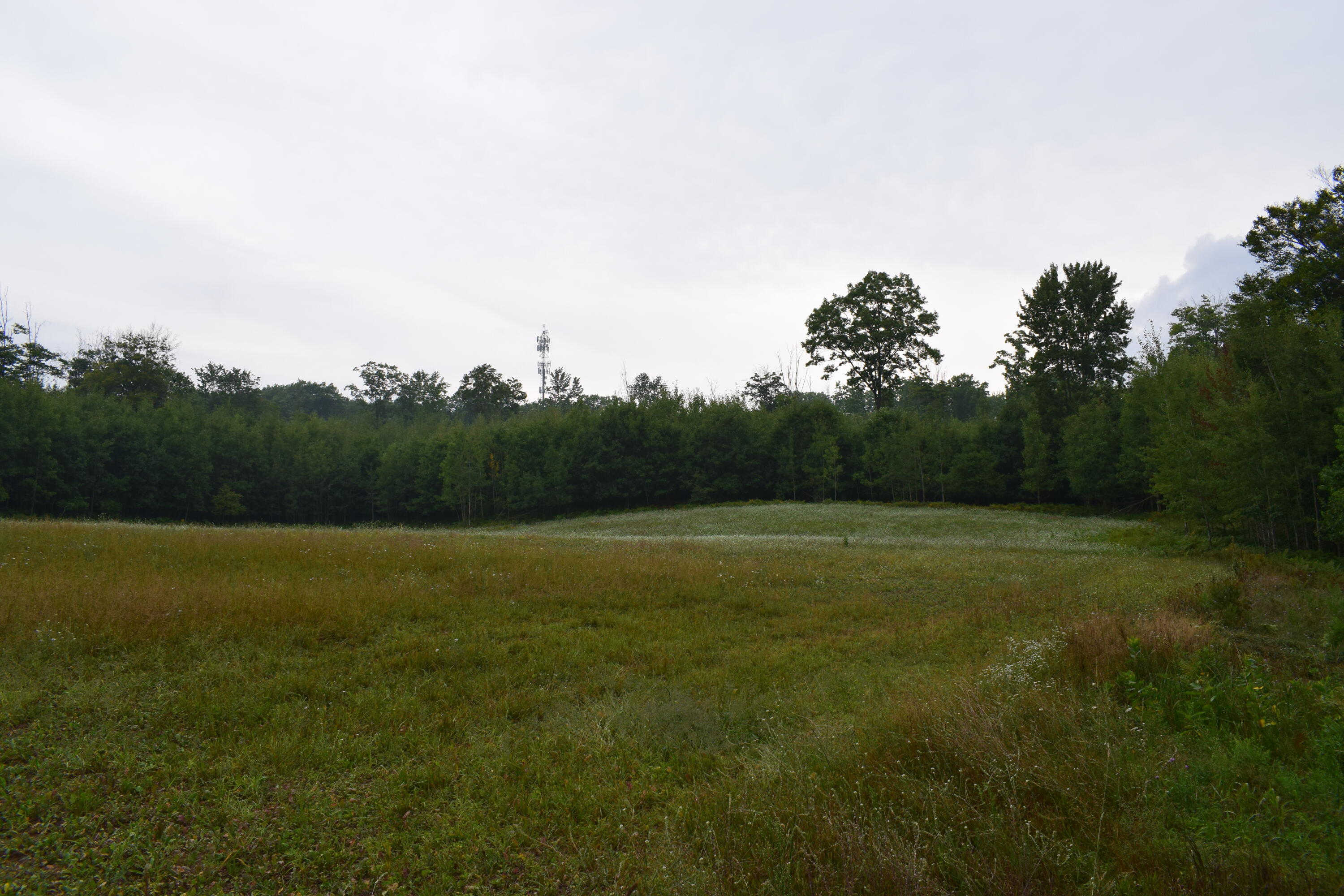 5190 Schoedel Road Manistee, MI 49660 - Photo 8 of 15 DSC_0005