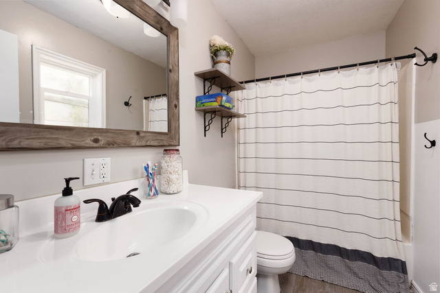 197 West 100 South Redmond, UT 84652 - Photo 10 of 41 Bathroom featuring vanity, a textured ceiling, and dark wood-type flooring