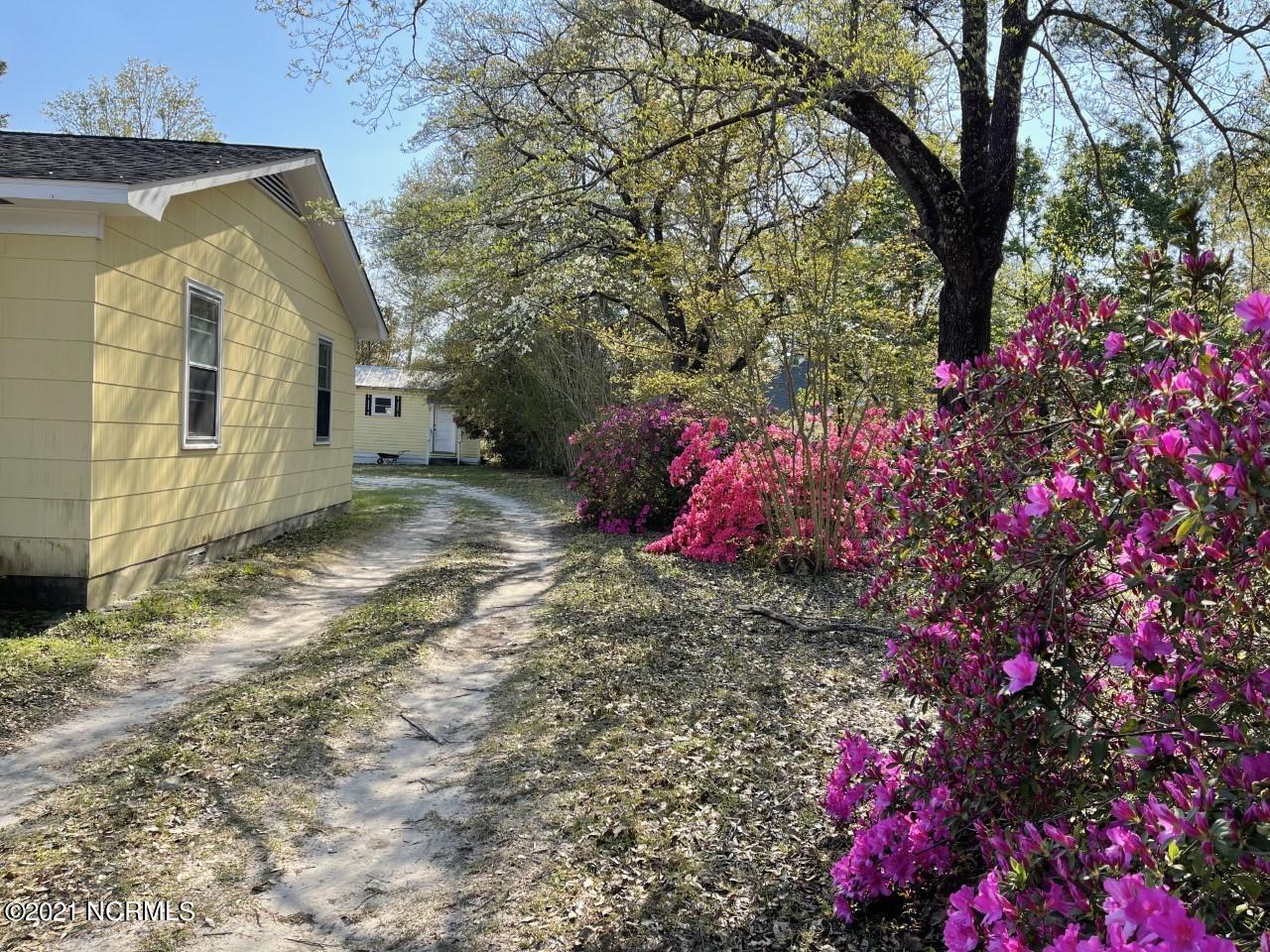 218 Middle Sound Loop Road Wilmington, NC 28411 - Photo 23 of 25 side yard
