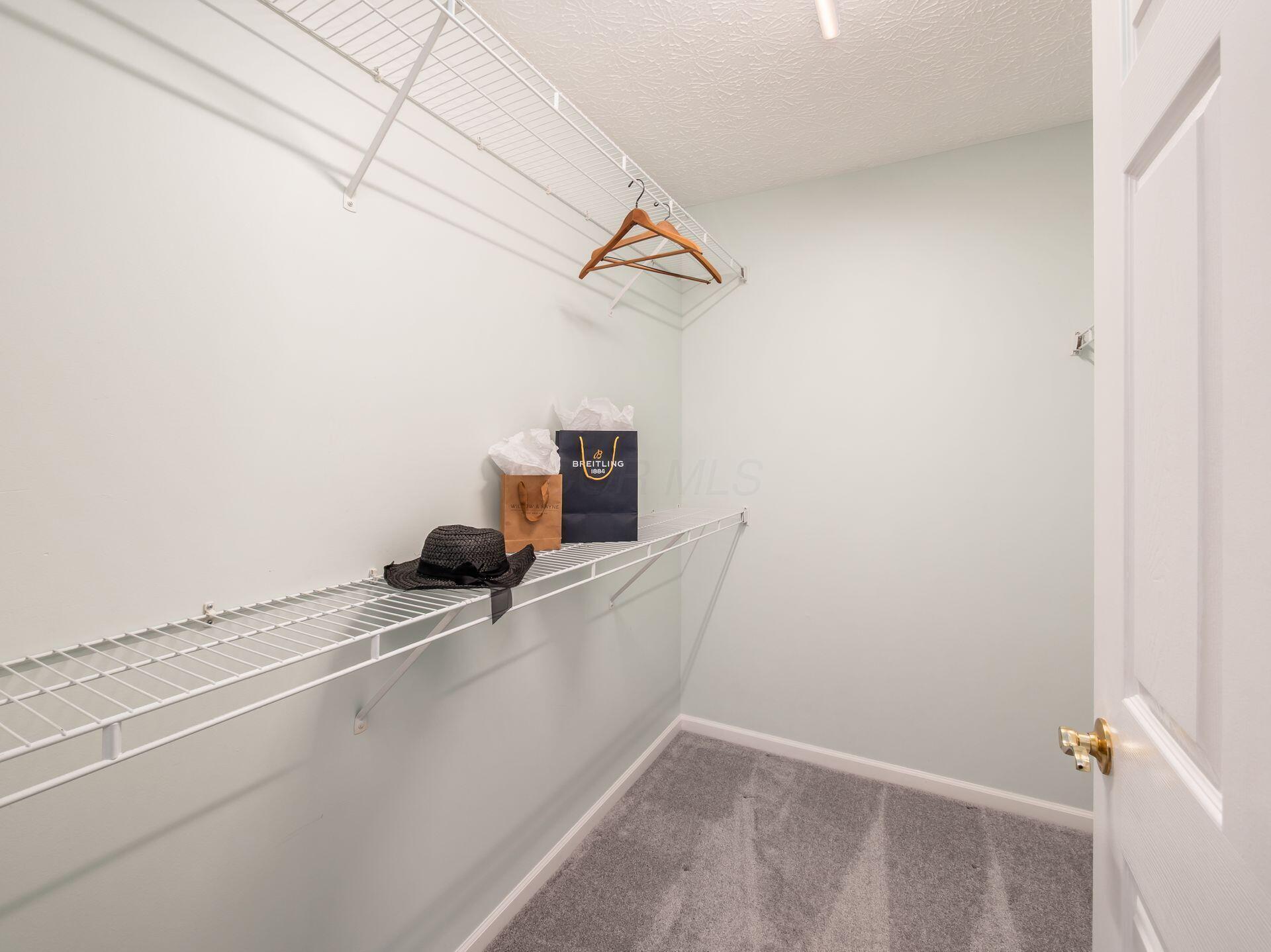 3623 Stoneway Point Powell, OH 43065 - Photo 18 of 21 WALK-IN-CLOSET