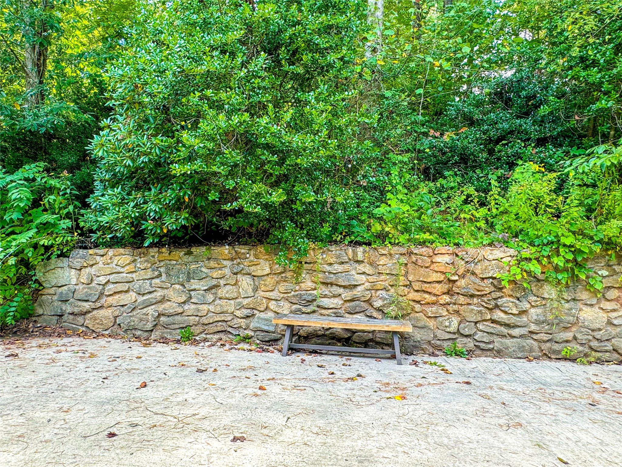 7923 Cruso Road Canton, NC 28716 - Photo 3 of 16 a view of a wooden floor with a yard