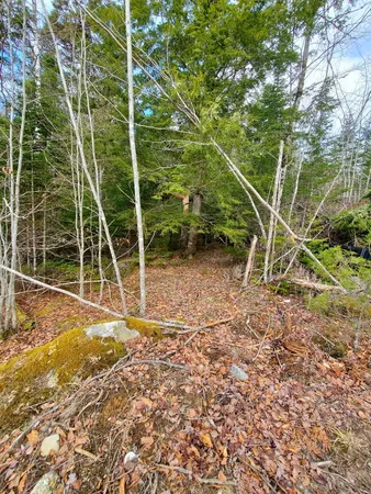 $55,000 | 0 Pioneer Path, Unit LOT 5, Aurora, ME 04408