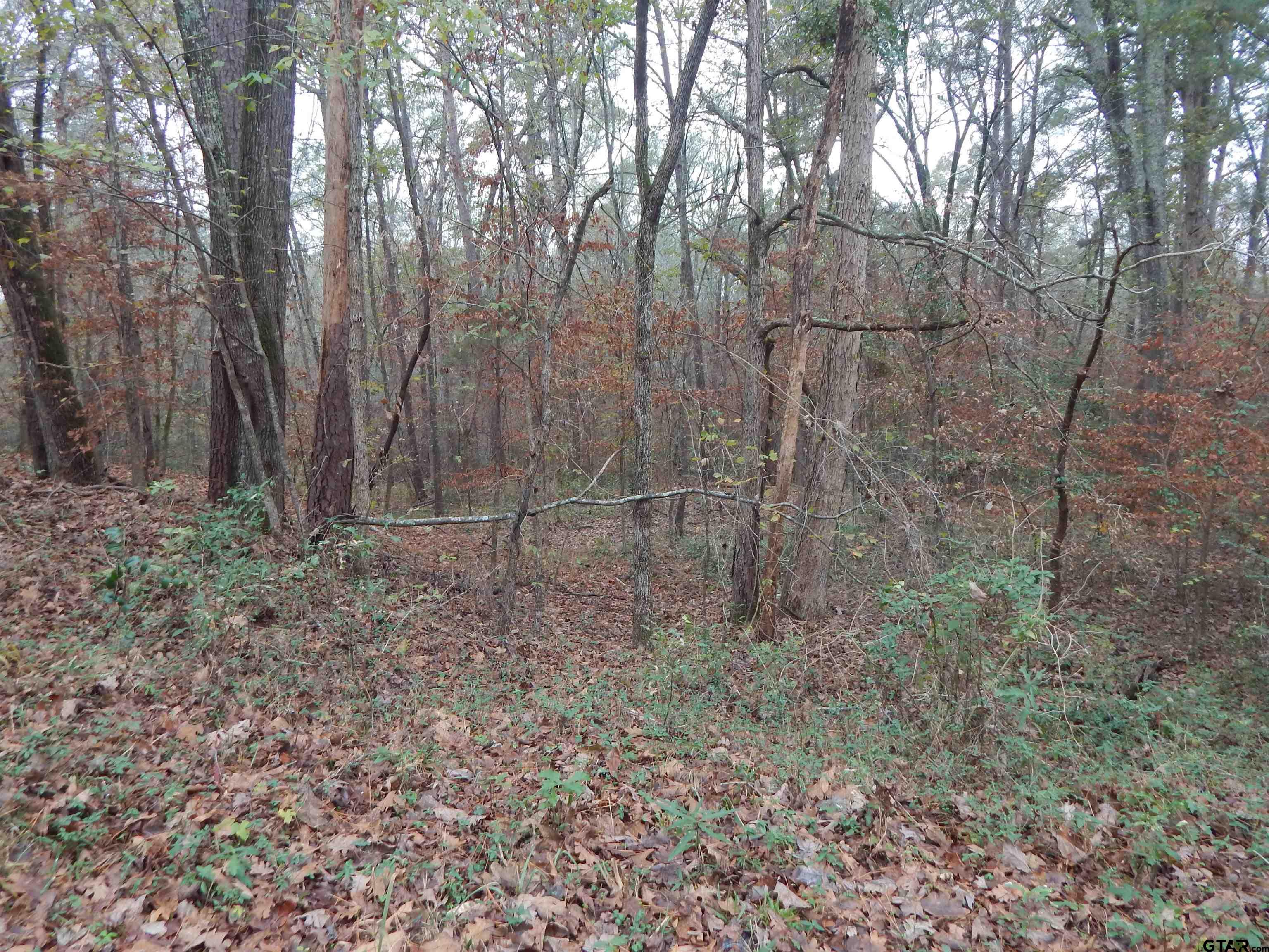 Tbd Tbd Ashwood Gilmer, TX 75645 - Photo 7 of 9 a backyard of a house with lots of green space