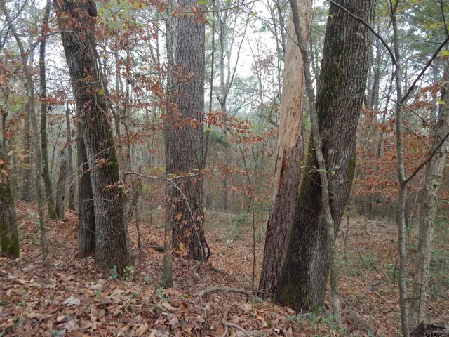 a backyard of a house