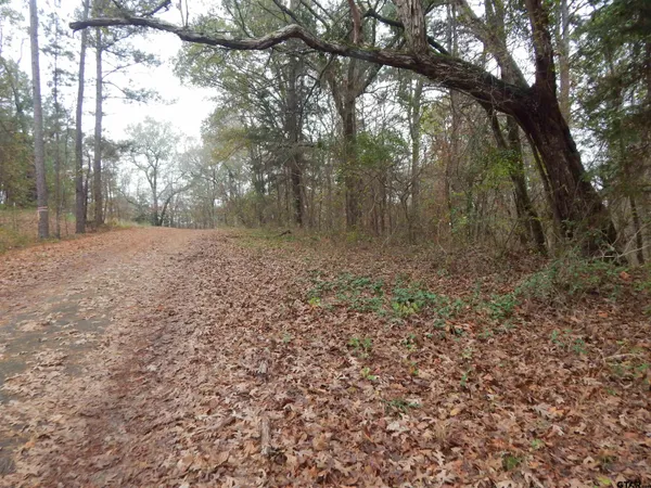 a view of a yard with trees in front of it