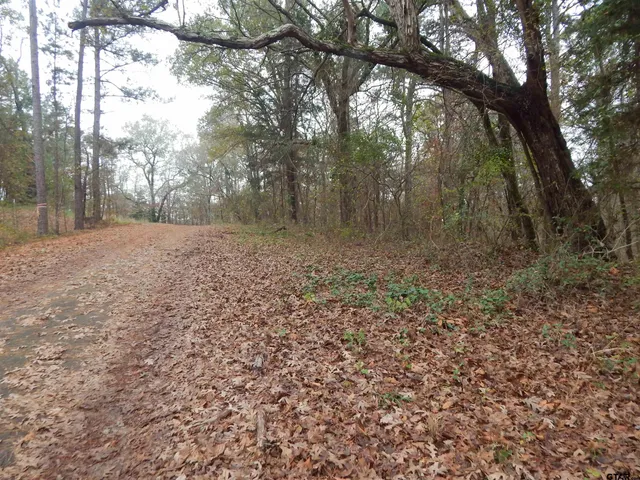 a view of a yard with trees in front of it