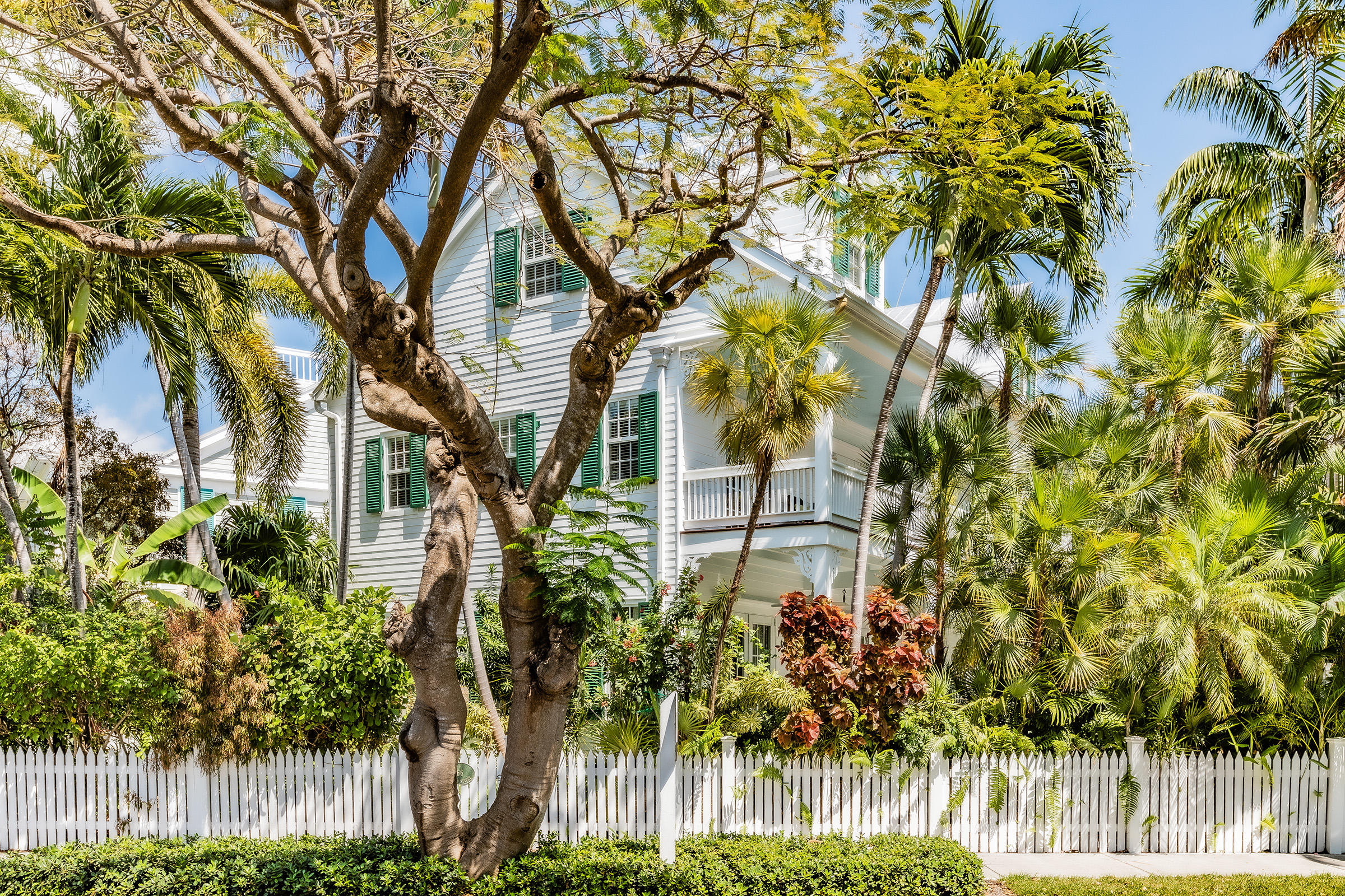 a backyard of a house with lots of green space